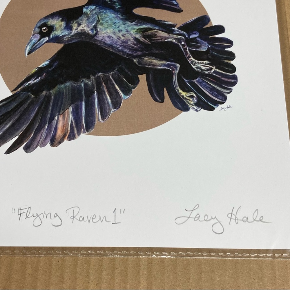 “Flying Raven 1” - 8x10 Crow Print - White Background - Picture 4 of 5